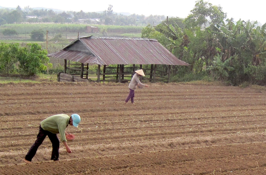 Nhờ mô hình “Địa chỉ tin cậy”, nhiều hội viên phụ nữ đã giữ vững tổ ấm, yên tâm phát triển kinh tế gia đình. Ảnh: Hồng Thi