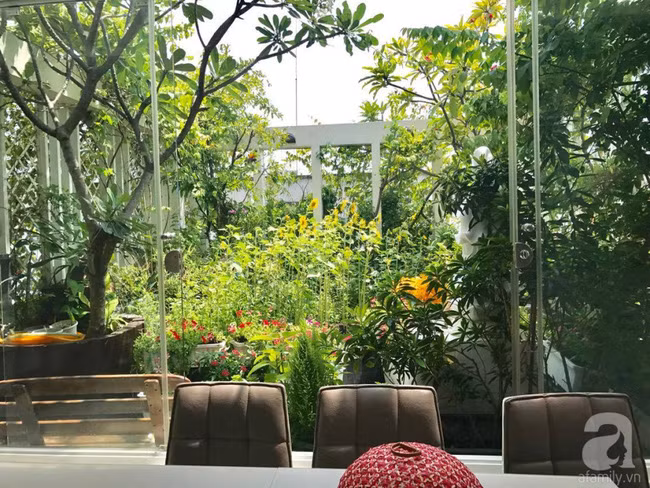 Chị tận dụng ban công, sân thượng để phủ xanh cây cỏ.