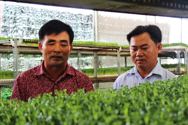  Chỉ với trang trại gần 1ha, gia đình ông Bạo thu mỗi năm hơn 4 tỷ đồng từ việc trồng rau