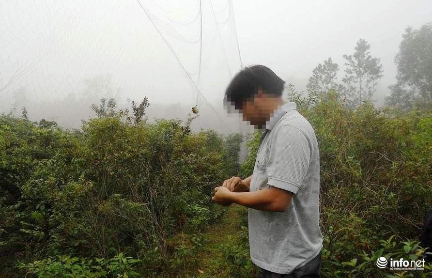 Kim Th. đang gỡ những con chim bị dính lưới. Kim Th. đang gỡ những con chim bị dính lưới.