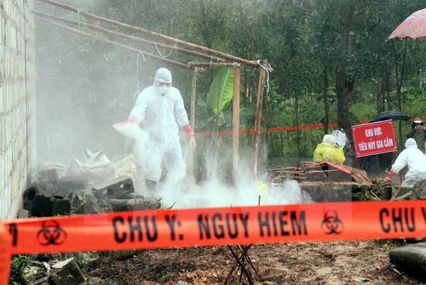 Cán bộ thú y tổ chức khử khuẩn và tiêu hủy gia cầm nghi mắc bệnh. Cán bộ thú y tổ chức khử khuẩn và tiêu hủy gia cầm nghi mắc bệnh.