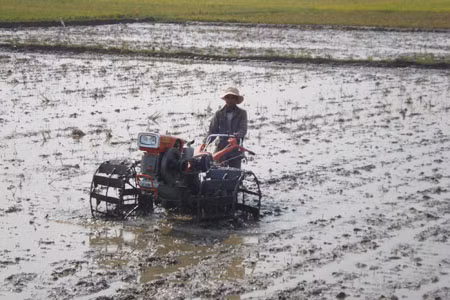 Chuẩn bị đất sản xuất vụ mùa.