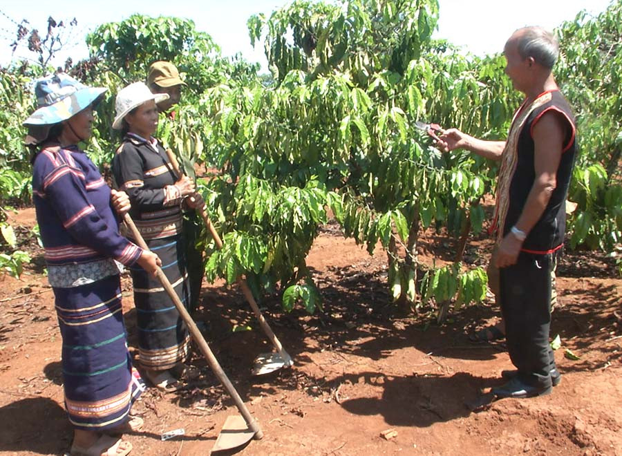  Già Siu Plim hướng dẫn người dân phát triển kinh tế. Ảnh: A.H