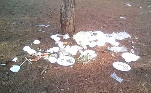 Ảnh: Phan Mạnh Phàn