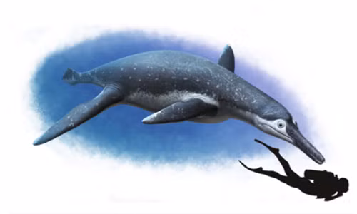  Đồ họa giống pliosaur to như xe bus sống từ thời khủng long. Ảnh: International Business Times