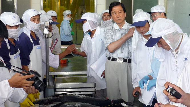 Ông Kato theo dõi việc sơ chế cá ngừ do ngư dân Bình Định đánh bắt để xuất khẩu sang Nhật.