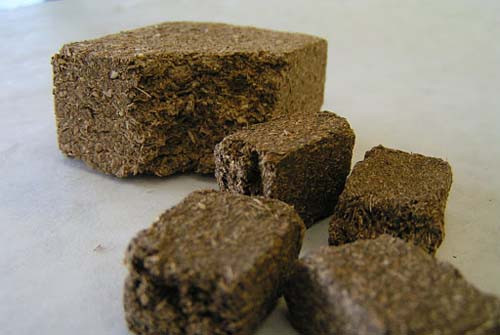 Dược liệu thần khúc Dược liệu thần khúc