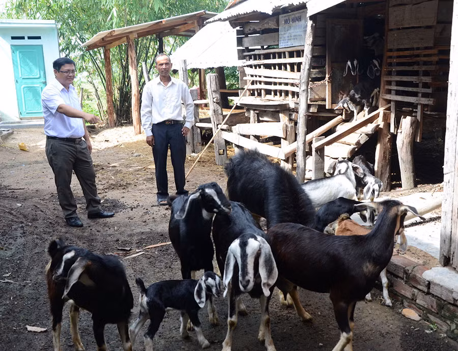  Bí thư Đảng ủy xã Ia Tul Nguyễn Phi Loan (bên trái) kiểm tra mô hình nuôi dê sinh sản ở làng Bi A. Ảnh: T.Đ