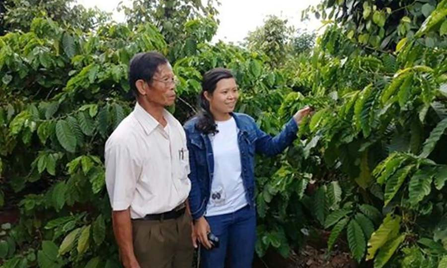  Cựu chiến binh Phạm Văn Nhung đã trở thành tỷ phú nhờ trồng hồ tiêu và cà phê. Ảnh: H.T