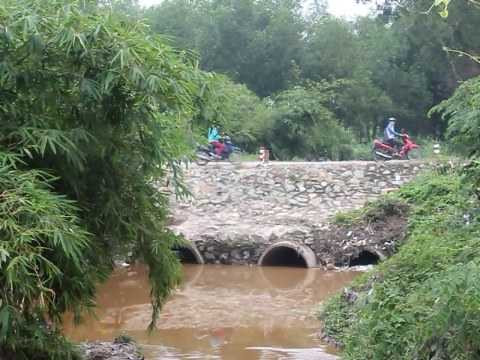 Ảnh minh họa (nguồn: internet) Ảnh minh họa (nguồn: internet)