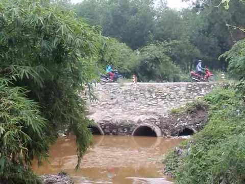 Ảnh minh họa (nguồn: internet)