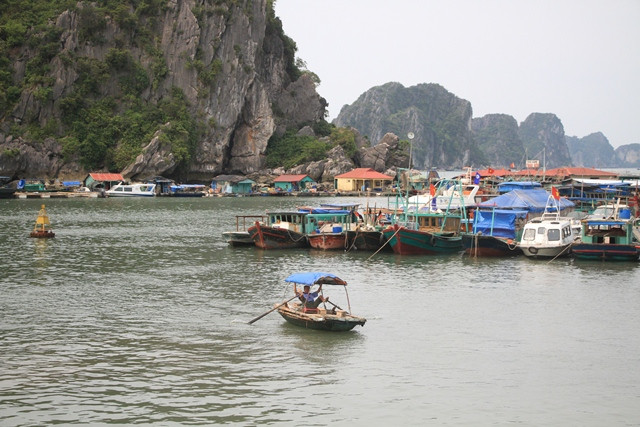  Từ cảng Cái Rồng (huyện Vần Đồn, Quảng Ninh) đến Cô Tô mất một giờ đồng hồ bằng tàu cao tốc