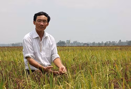 Ông Phan Văn Hòa giới thiệu về tác phẩm của mình.