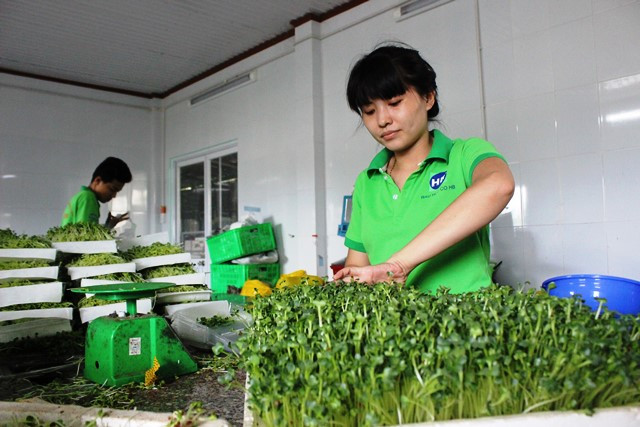 Sản phẩm của HB cung cấp cho siêu thị, nhà hàng cao cấp và các trường học trong vùng