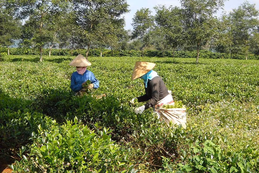  Đảm bảo chính sách lao động việc làm cho công nhân khi cổ phần hóa.