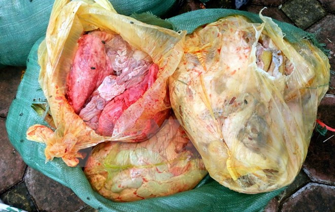 Ảnh minh họa