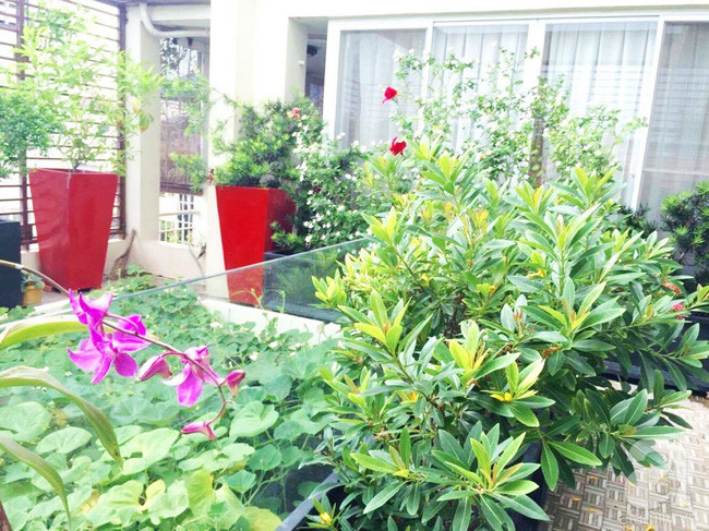 Nơi mọi người trong gia đình cùng nhau làm vườn.