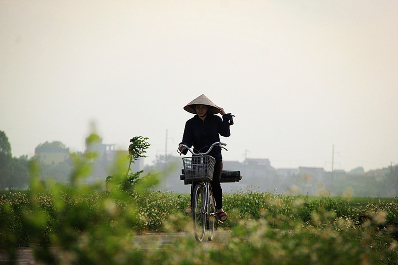 Chở dùng về nhà