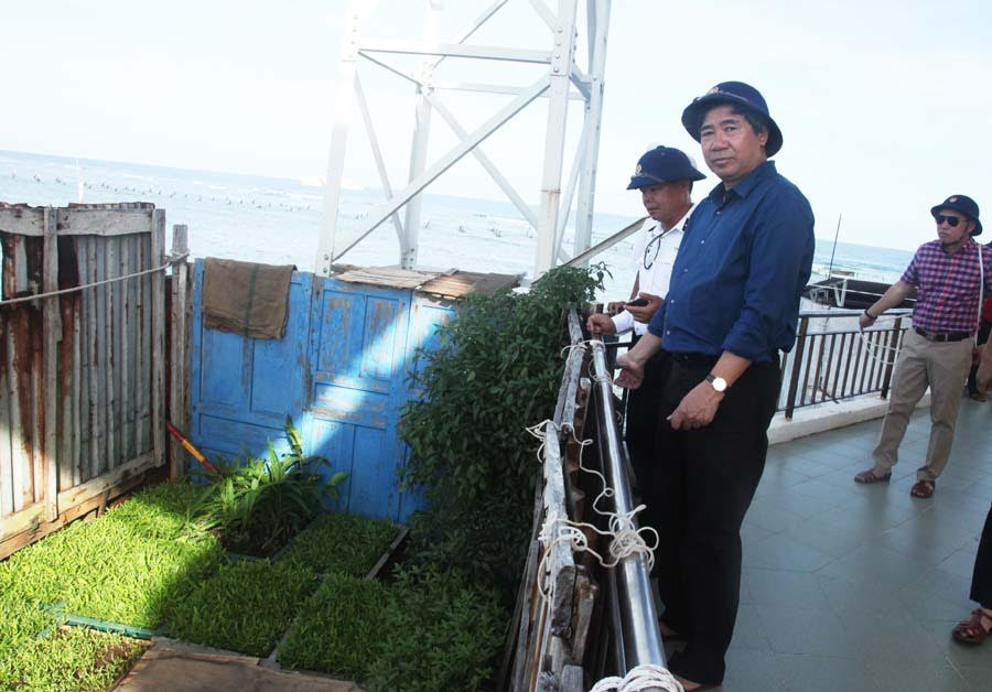 Đồng chí Trần Hữu Bình, Phó Bí thư Đảng ủy Khối Doanh nghiệp Trung ương, trưởng đoàn công tác cùng các thành viên đoàn công tác số 5 thăm vườn rau tại Đảo Đá Lớn C. Đồng chí Trần Hữu Bình, Phó Bí thư Đảng ủy Khối Doanh nghiệp Trung ương, trưởng đoàn công tác cùng các thành viên đoàn công tác số 5 thăm vườn rau tại Đảo Đá Lớn C.