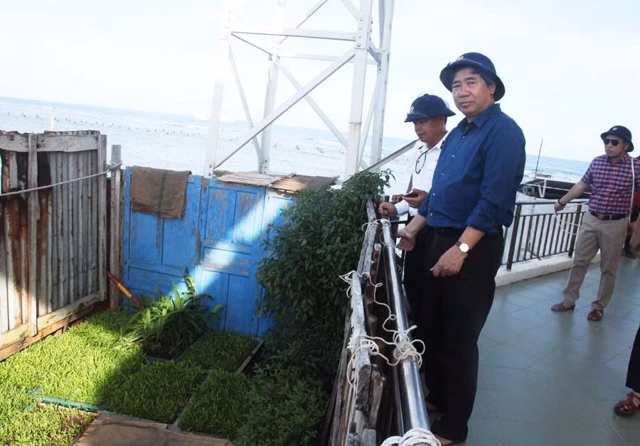 Đồng chí Trần Hữu Bình, Phó Bí thư Đảng ủy Khối Doanh nghiệp Trung ương, trưởng đoàn công tác cùng các thành viên đoàn công tác số 5 thăm vườn rau tại Đảo Đá Lớn C.