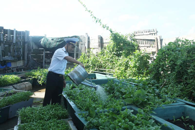 Trung úy Phạm Văn Quân, nhân viên báo vụ, đảo đá lớn B tranh thủ tưới rau để tránh hơi nước mặn của biển làm hỏng lá. Trung úy Phạm Văn Quân, nhân viên báo vụ, đảo đá lớn B tranh thủ tưới rau để tránh hơi nước mặn của biển làm hỏng lá.