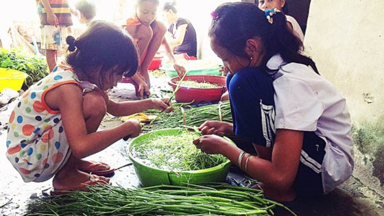 Những đứa trẻ tranh thủ bào rau muống sau khi đi học về