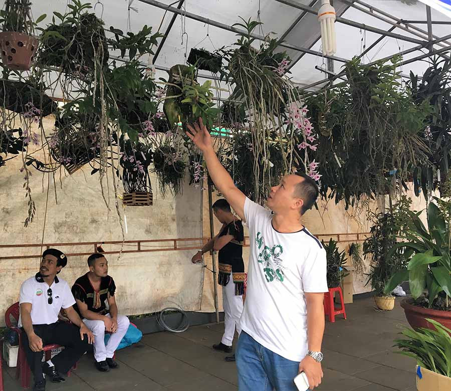 Các loài lan rừng đặc biệt được người yêu hoa lan ưa chuộng, tìm hiểu. Ảnh: P.L Các loài lan rừng đặc biệt được người yêu hoa lan ưa chuộng, tìm hiểu. Ảnh: P.L