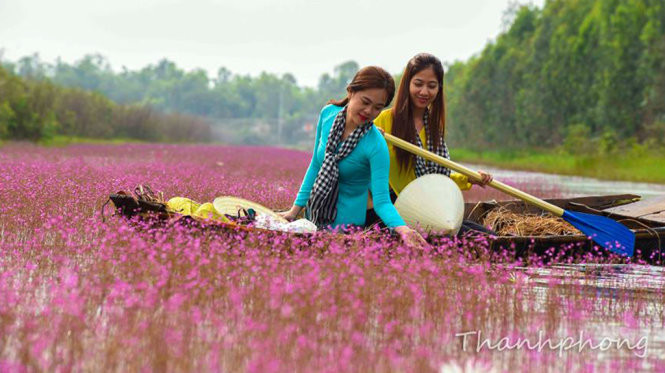  Đồng hoa nhĩ cán