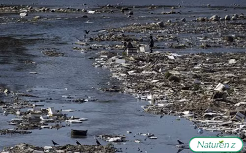 Môi trường ô nhiễm gây nhiễm độc cho gan, lâu ngày dẫn đến ung thư gan