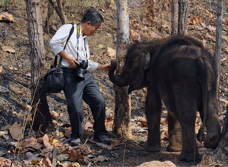Tác giả bài viết và chú voi Gold ở Trung tâm Bảo tồn voi Đak Lak. Ảnh: T.V