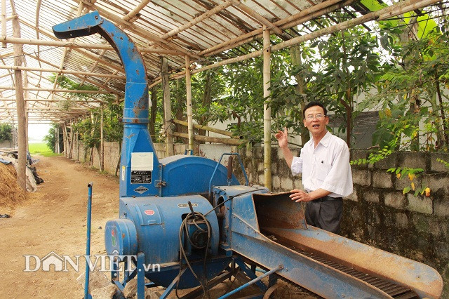 Ông Căn đầu tư máy nghiền nhỏ nguyên liệu để dễ dàng ủ phân. Theo ông Căn, nguyên liệu có kích thước lớn hơn 20 cm thì cần chặt ngắn khoảng 1 gang tay.