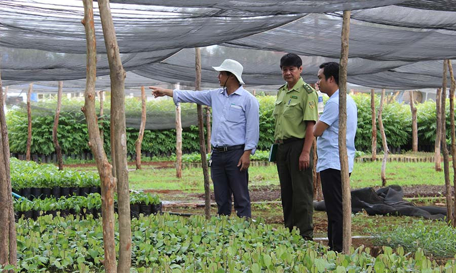  Một vườn ươm tại xã Nghĩa Hưng. Ảnh: N.D