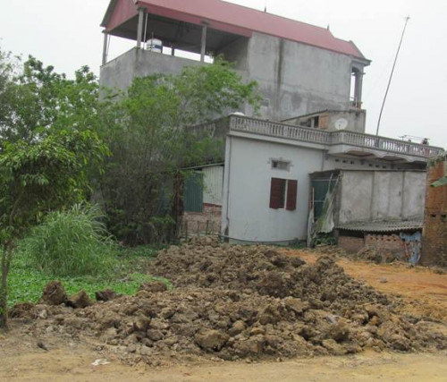 Ảnh minh họa Ảnh minh họa