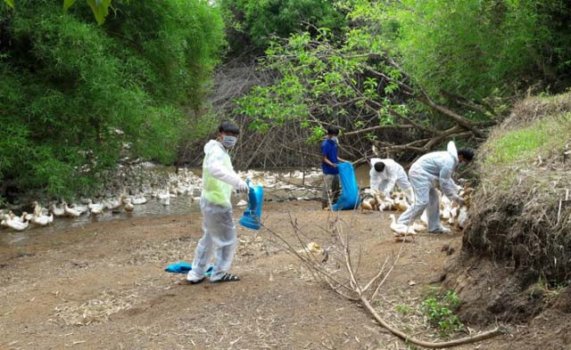 Cơ quan chức năng huyện Ea Súp tích cực thực hiện các biện pháp phòng-chống dịch. 