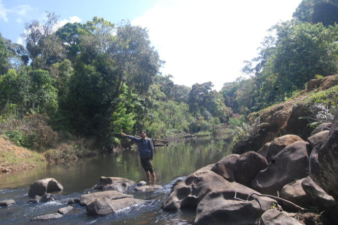  Cư dân Mơ-nâm làng Kon Plong ở đầu nguồn Đak Pak của sông Ba chuyên làm lúa nước, giữ rừng đầu nguồn rất tốt.