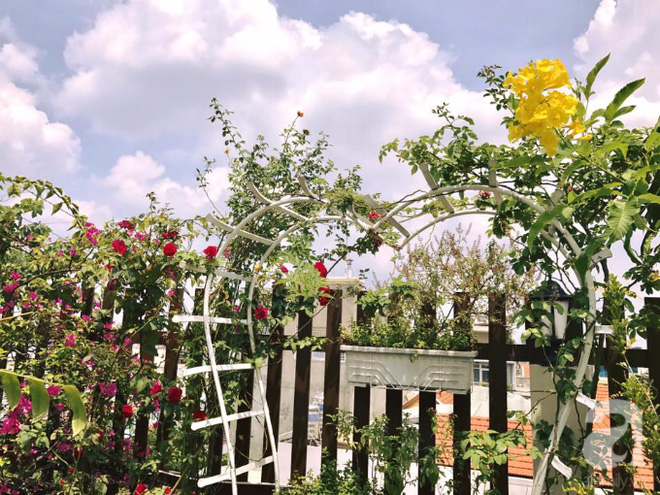 Cổng hoa đầy chất thơ.