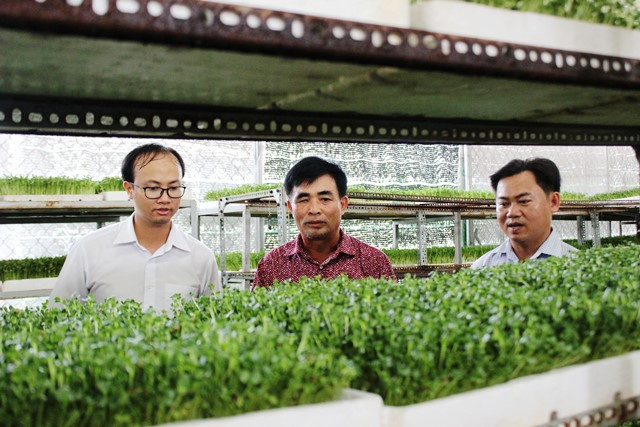  Ông Lê Văn Bạo (giữa) giới thiệu quy trình sản xuất rau mầm theo hướng hữu cơ