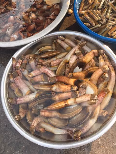Hải sải ở đây tươi ngon, giá cả phù hợp