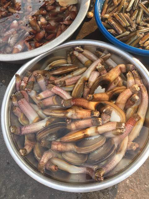 Hải sải ở đây tươi ngon, giá cả phù hợp
