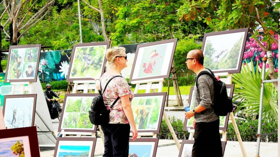 Triển lãm ảnh về voọc chà vá chân nâu 2017 tại Công viên Trung tâm thành phố Đà Nẵng Triển lãm ảnh về voọc chà vá chân nâu 2017 tại Công viên Trung tâm thành phố Đà Nẵng