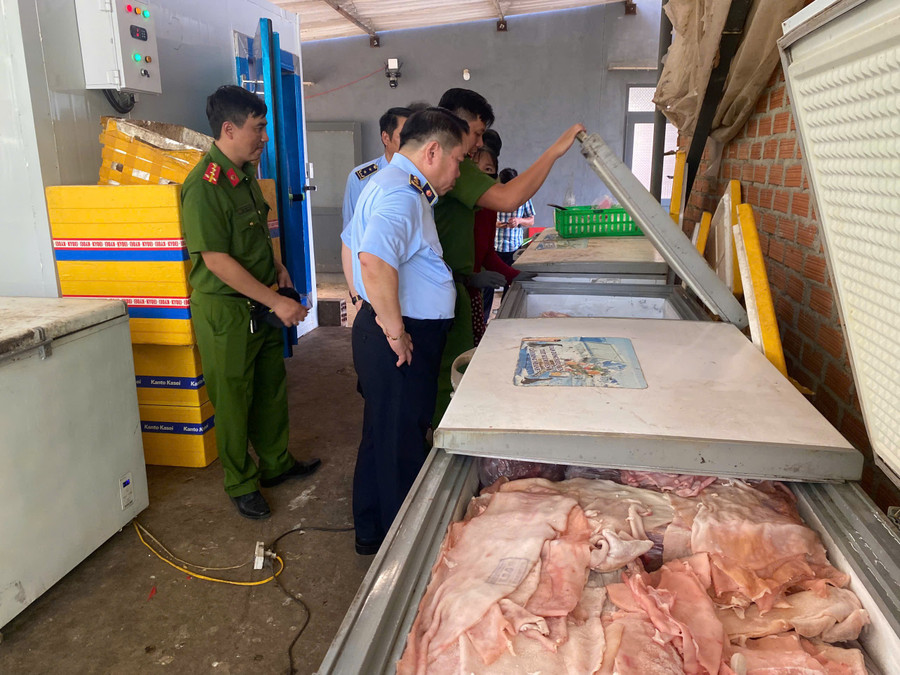 Lực lượng Quản lý thị trường và Cảnh sát Kinh tế kiểm tra, phát hiện thịt heo không rõ nguồn gốc, xuất xứ tại Công ty TNHH kinh doanh thực phẩm Q.V. (ở phường An Nhơn Nam) vào ngày 5-8. Ảnh: Nguyễn Chơn 10.jpg