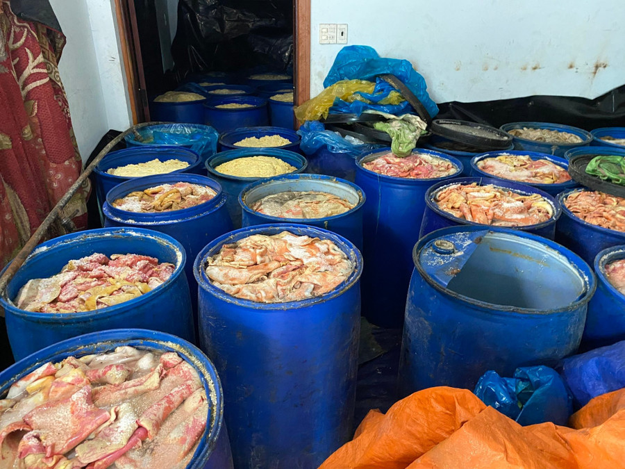 4,9 tấn da heo được chứa trong 98 phi nhựa màu xanh đã bốc mùi hôi thối, đổi màu. Ảnh: Nguyễn Chơn 20.jpg
