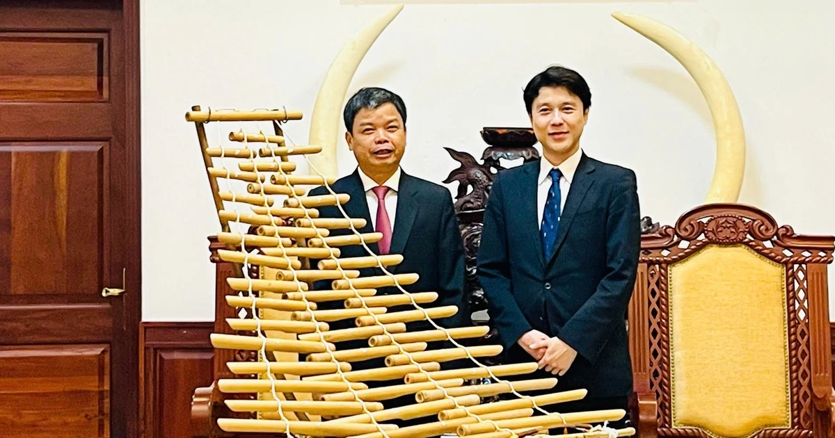 Semiz eshakli ayollar porno rasmlar