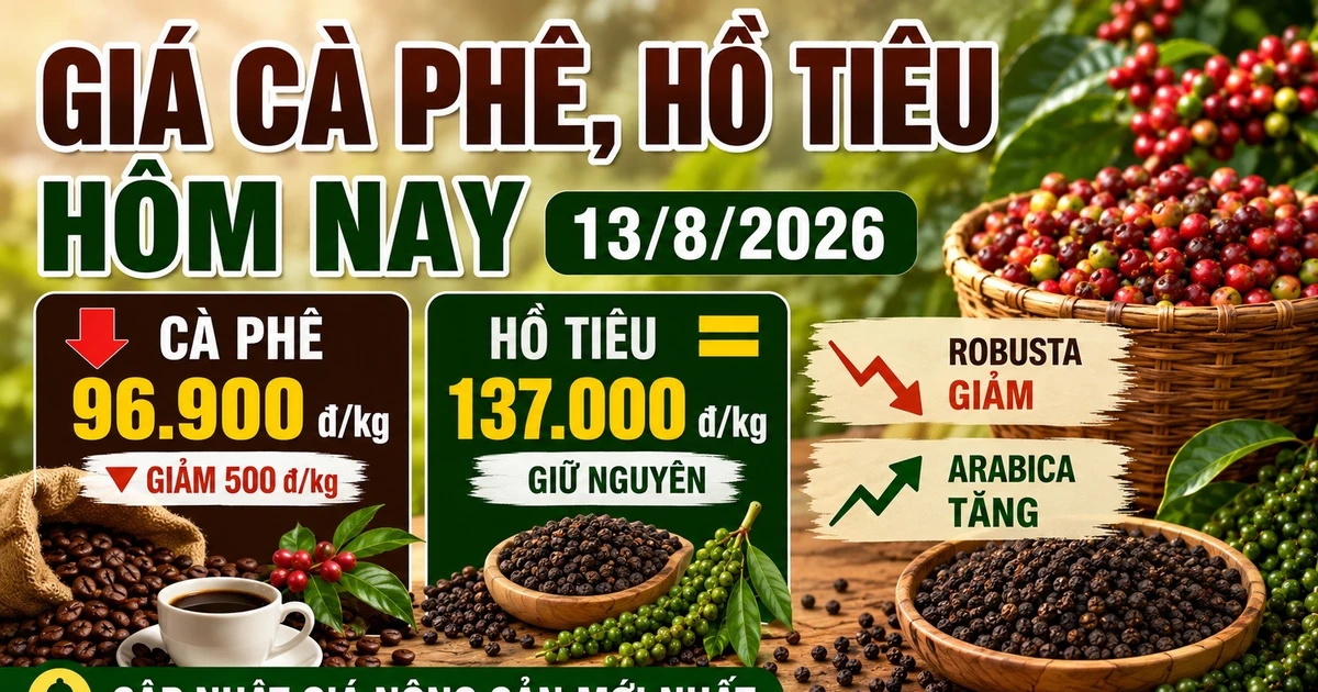 Giá cà phê, hồ tiêu hôm nay 13/8: Cà phê giảm, giá tiêu đi ngang