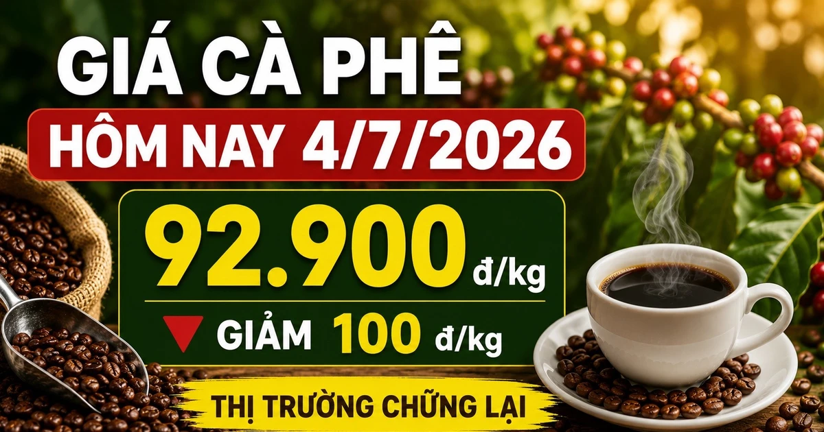 Giá cà phê trưa 4-7: Giảm nhẹ sau chuỗi tăng