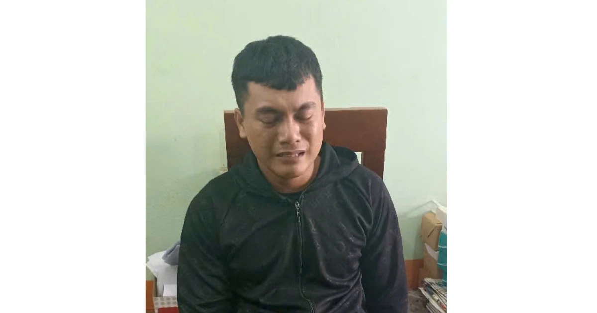 baogialai.com.vn