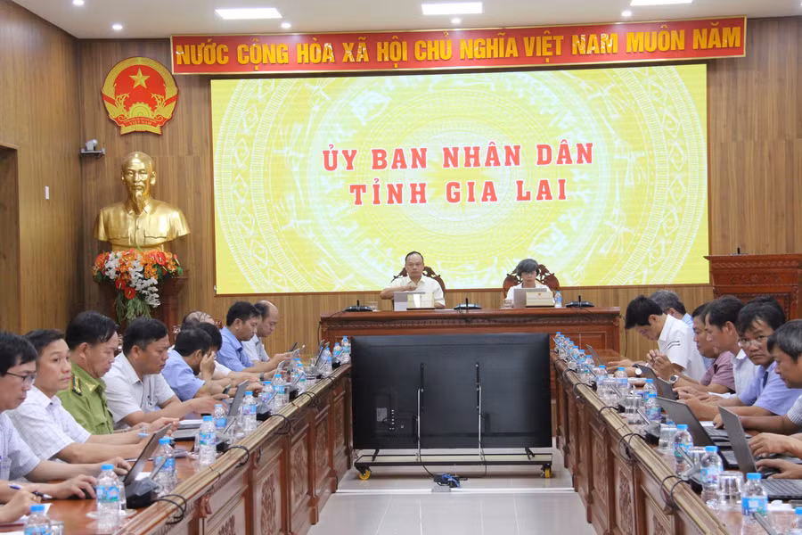 hoi-nghi-truc-tuyen.jpg