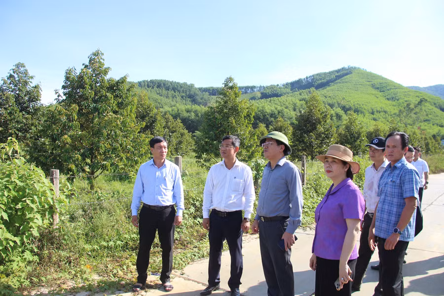 tham-quan-khu-quy-hoach.jpg