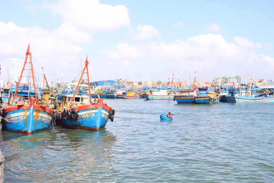 tau-ca-tranh-bao-so-1.jpg