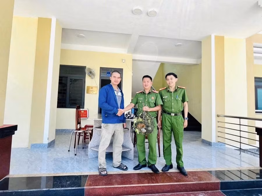 anh-ca-the-cu-li.jpg